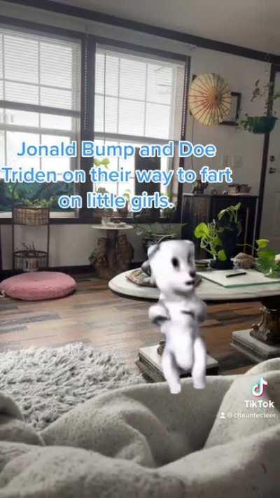 We named the AI voice memes of the presidents and then I got really high and made this.