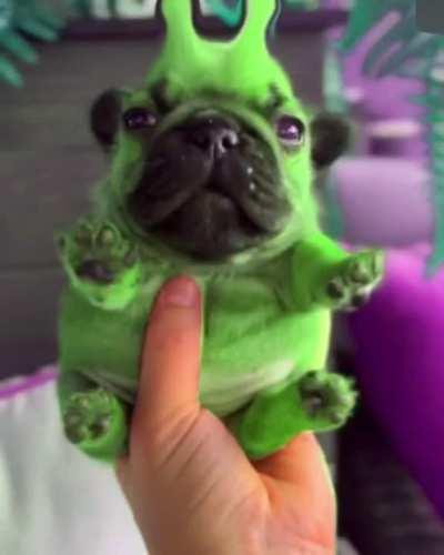 It came from outer space