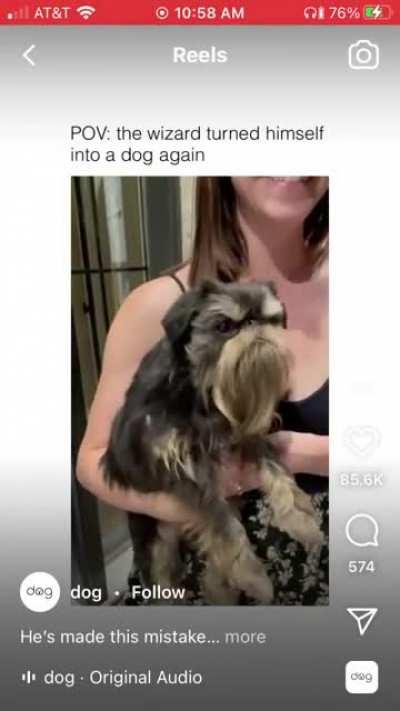 The wizard turned himself into a dog again