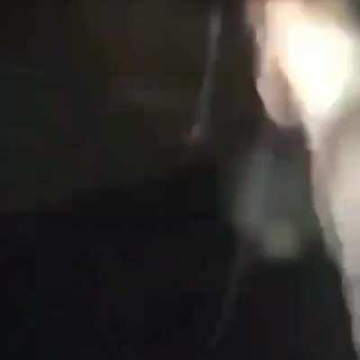 Humanity was a mistake