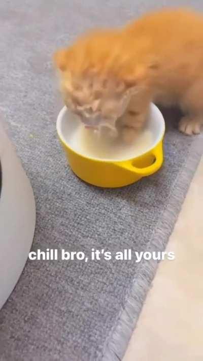 Bro chill, it's all yours. 