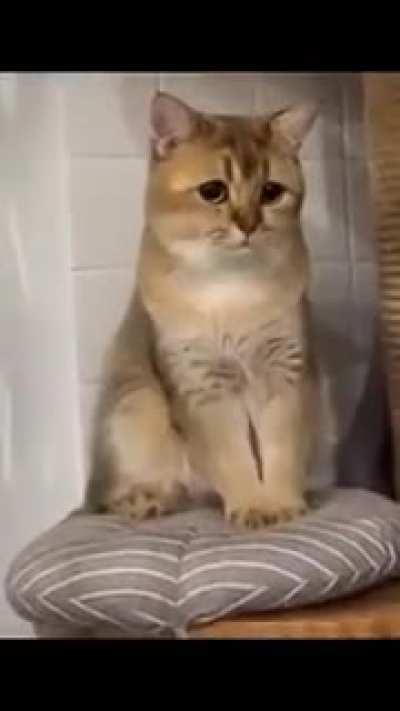 I dont know why he's sad