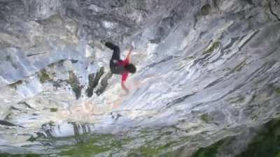 Live by the sword, fly by the sword