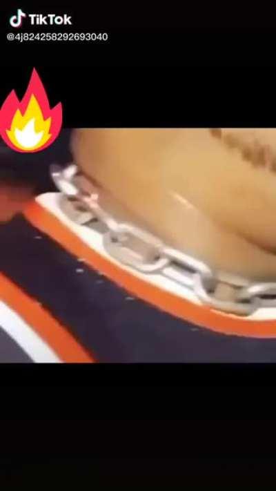 Am interesting title