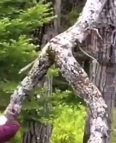 O cara pagando pro pau rebola 🌚