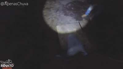 Renato-Doo (tt de quem fez ta no video)