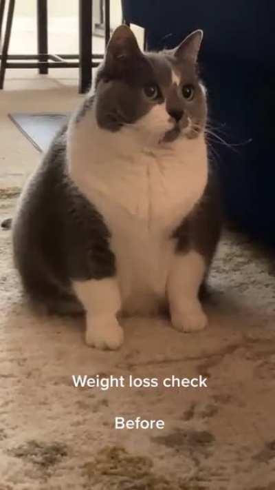 Successful Dechonkification