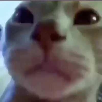 On the afternoon of august, 18th 1973....