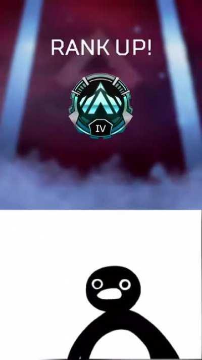 Now the real challenge begins