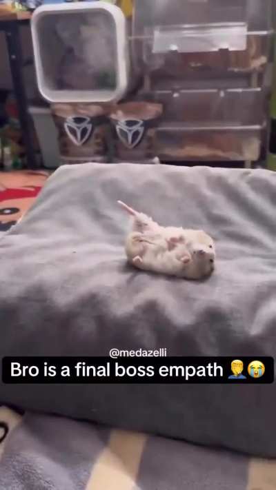 The Imitator will mercilessly mock you