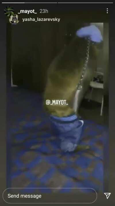 GANSTA MONKE GAGSTRA MONKNKE 😱😱😱😱😱😳😳😳😳😳😳