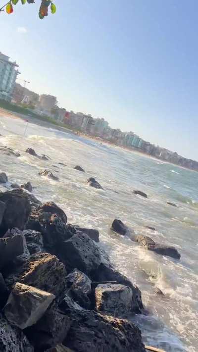 My husband and I went to spend the week on the beach, he had to work remote and then a friend invited me just to go to the beach, but all I wanted was to suck his cock