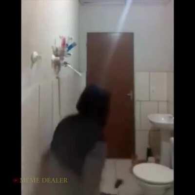 I feel bad for the cat