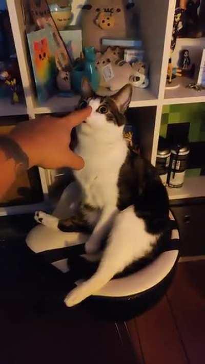 Need advice. Greebles button is stuck!