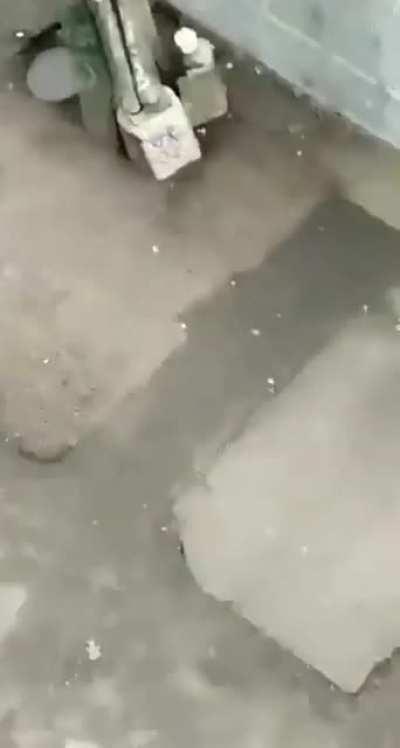 Богоподобные люди цивилизованного мира