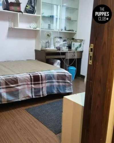 This puppy is truly amazing