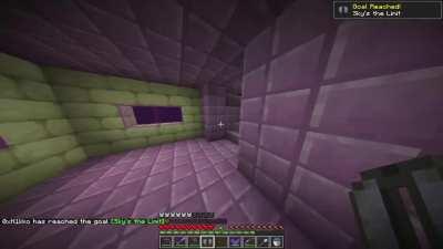 just got my first elytra and the game does this. 🤓