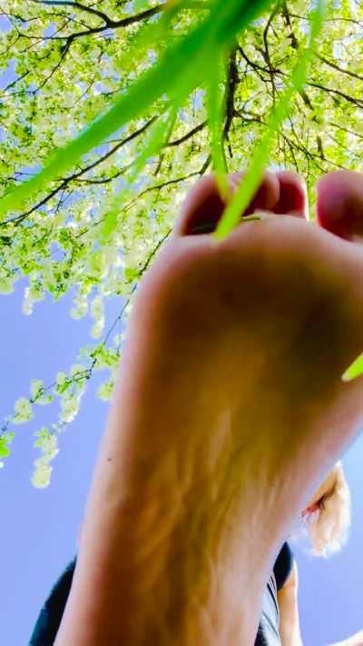 Found some tinies in the grass…