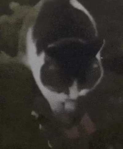 Rgyfnfnffjtjtbfhjejrejejeeeeeereeeeegjjgjgjgjggggg