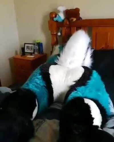 Dogs have the worst farts