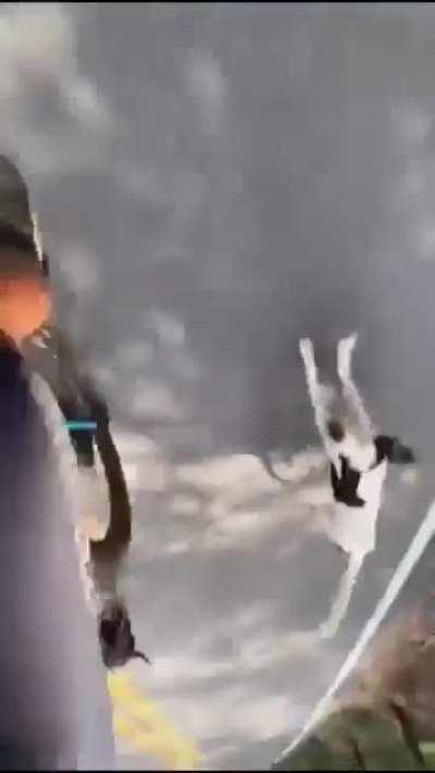 Cyclist chased by dogs 