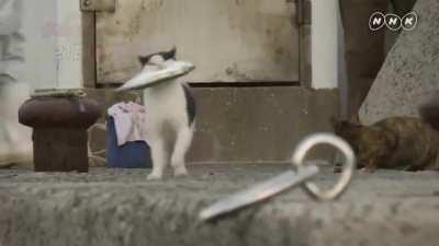 That's some high class thievery