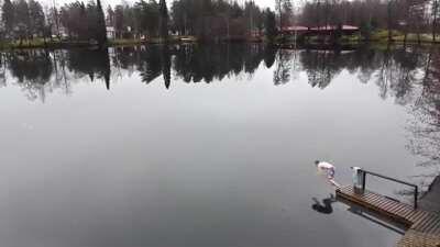 They had us in the first half not gonna lie