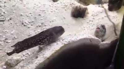 Neighbourhood: very cute wonderful creatures