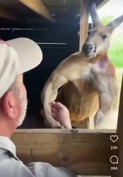 Kangaroo On Steroids