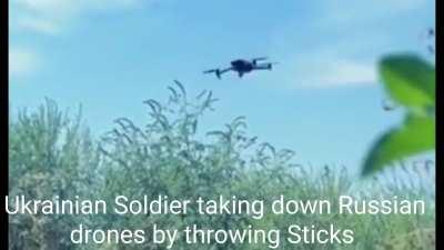 Reality is often Disappointing 