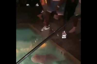 Man gets knocked out into a pool