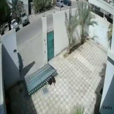 Gate Crushes Woman To Death
