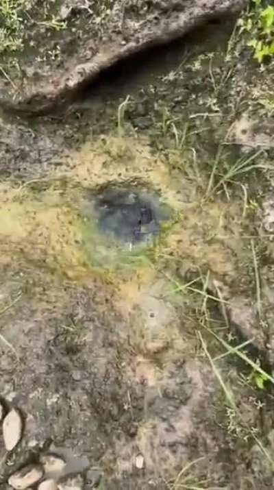 Don't throw stones into water holes...