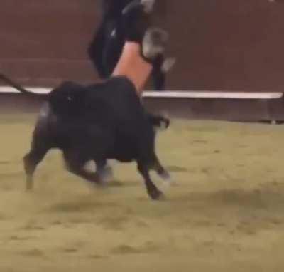 A Classic Cartoon Bullfight