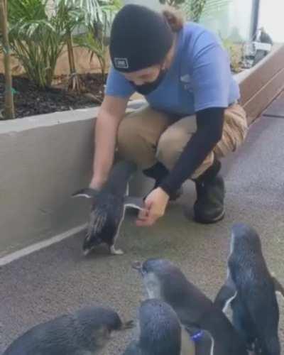 Human nature love bond