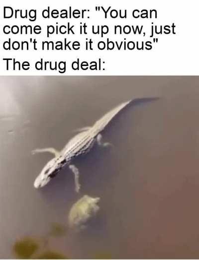 Didn't look sus at all