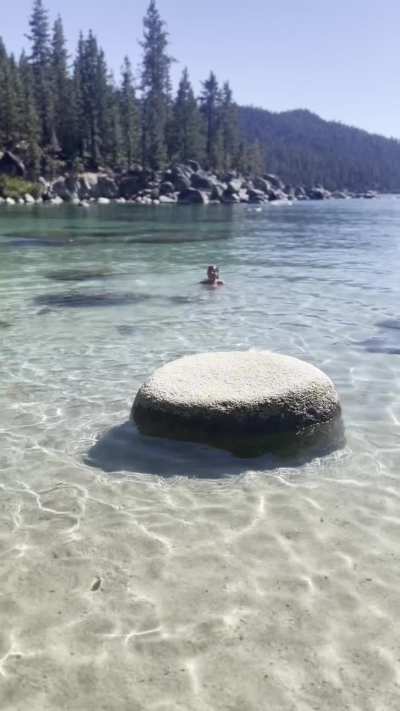No need for clothes at the nude beach