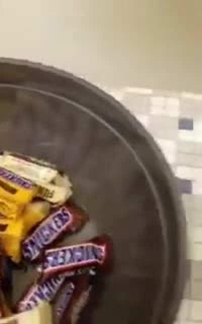 Happy Halloween bro, lmao