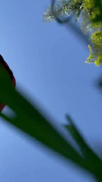 What would you do if you were the camera man? @KKVSH