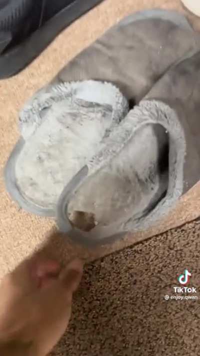 Just some funny shit