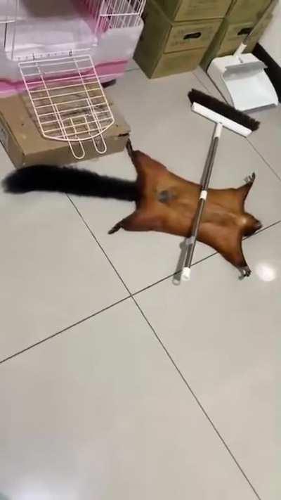 Future oscar winner right there