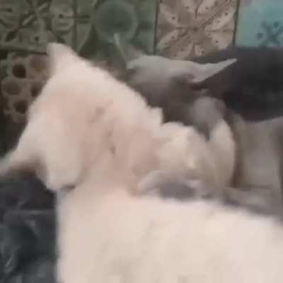 Остановись!