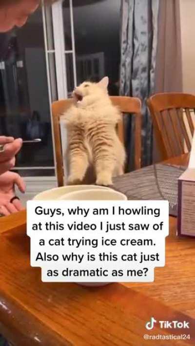 Attention is my favorite