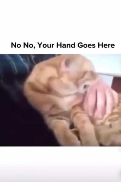Don't move your hand!