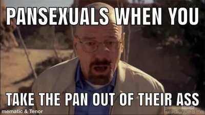 Pansexuals like frying pans up their ass