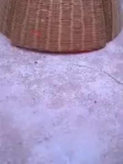 Cinematic masterpiece