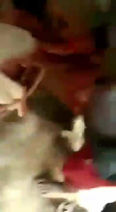 chaaku_nii_hai_chacha