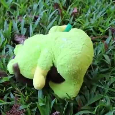 tinY SloTh brutALlY CrUsHED by A fRoG monsTeR