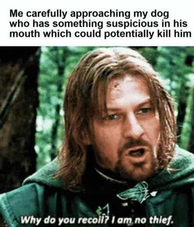 You're sure you do not suffer needlessly?