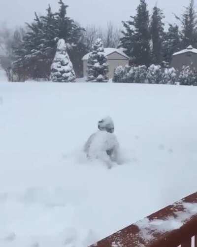 HMC While I go snow diving.....